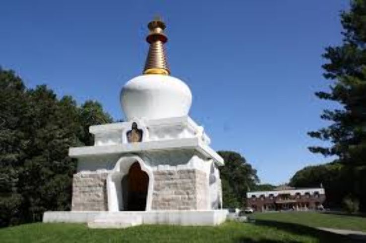 Tibetan Mongolian Buddhist Cultural Center Trip Packages