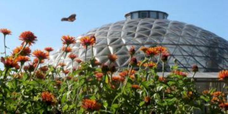 Botanical garden Trip Packages