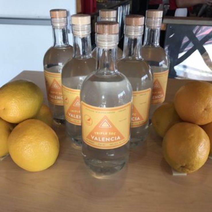 Cardinal Spirits Trip Packages