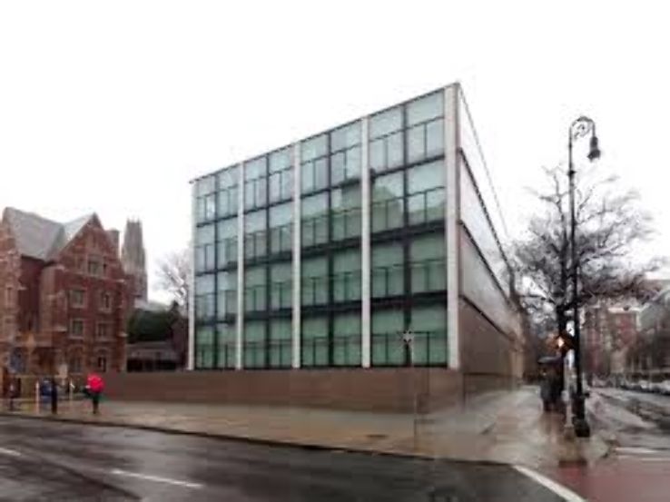 Yale University Art Gallery Trip Packages