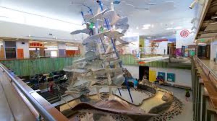 Terry Lee Wells Nevada Discovery Museum Trip Packages