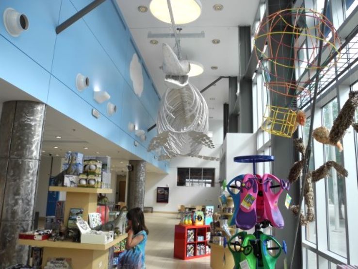 Terry Lee Wells Nevada Discovery Museum Trip Packages