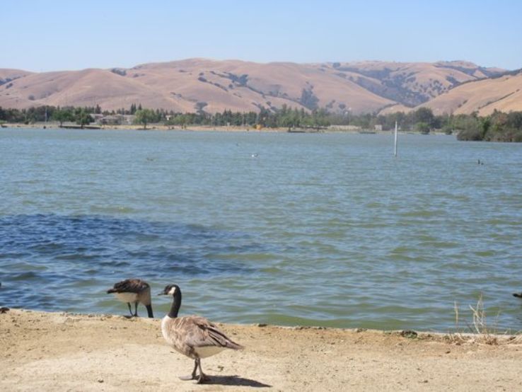 Central Park and Lake Elizabeth Trip Packages