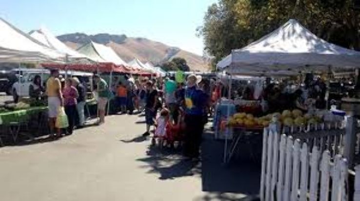 Niles Farmers Market Trip Packages