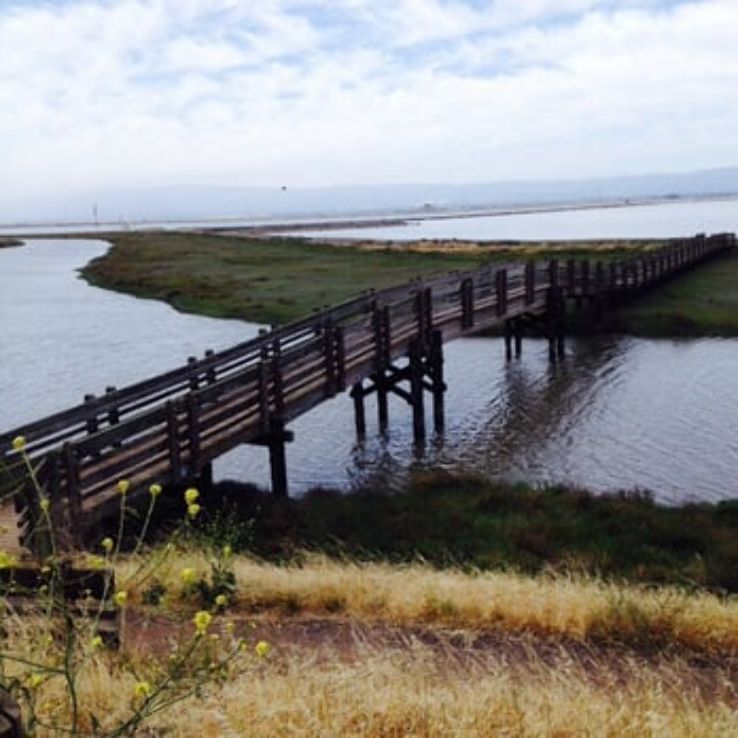 Don Edwards San Francisco Bay National Wildlife Refuge Trip Packages