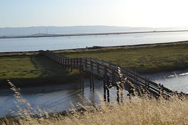 Don Edwards San Francisco Bay National Wildlife Refuge Trip Packages