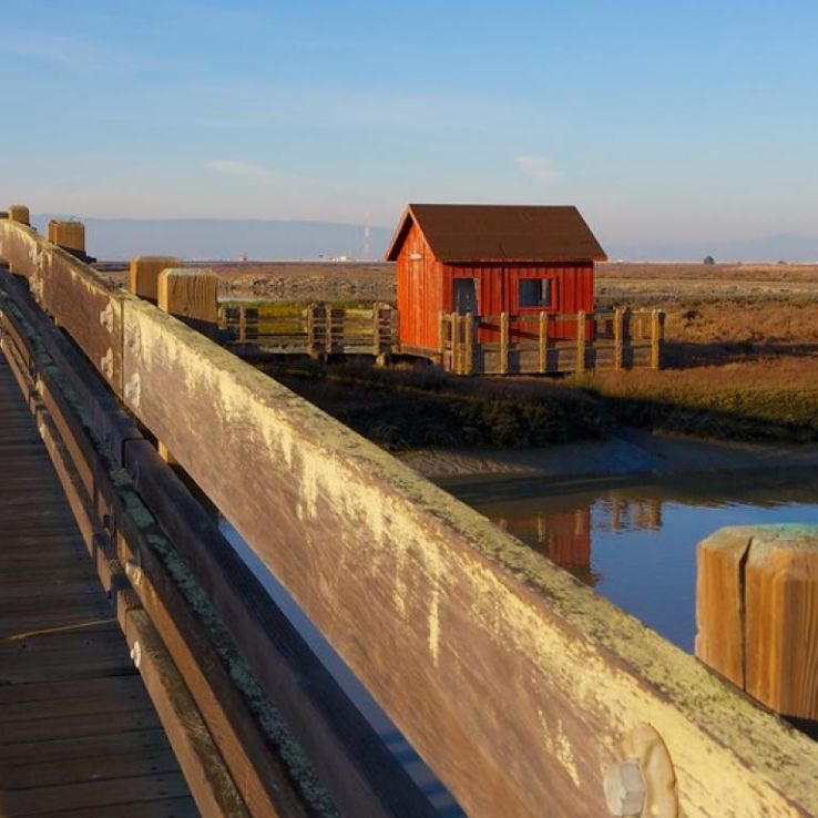 Don Edwards San Francisco Bay National Wildlife Refuge Trip Packages
