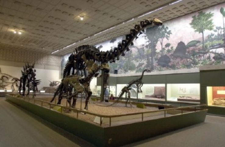 Yale Peabody Museum of Natural History Trip Packages