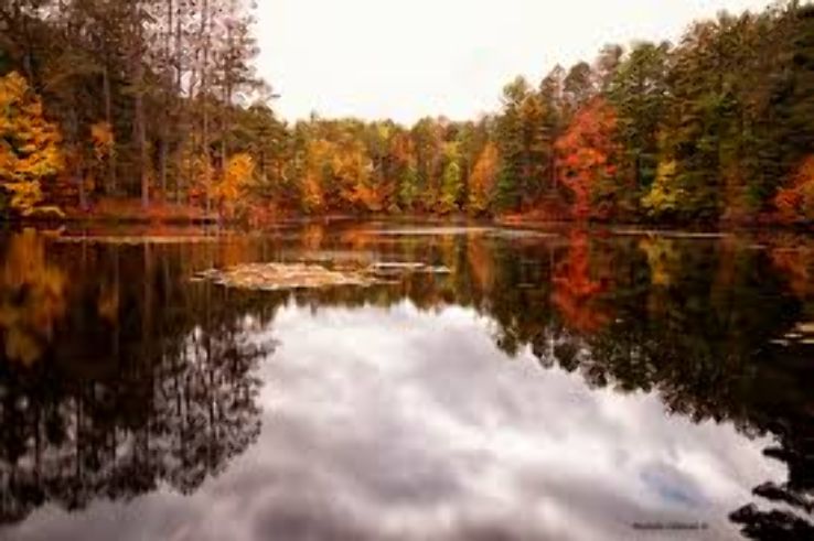 Bradely park Trip Packages