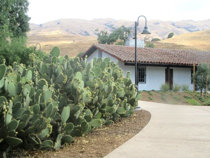 Higuera Adobe Trip Packages