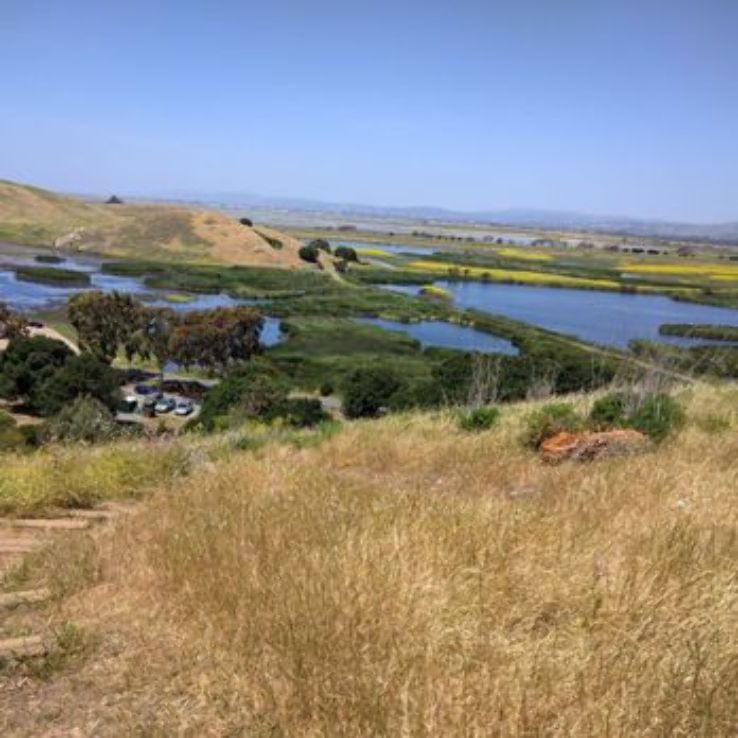 Coyote Hills Regional Park and Alameda Creek Trail Trip Packages