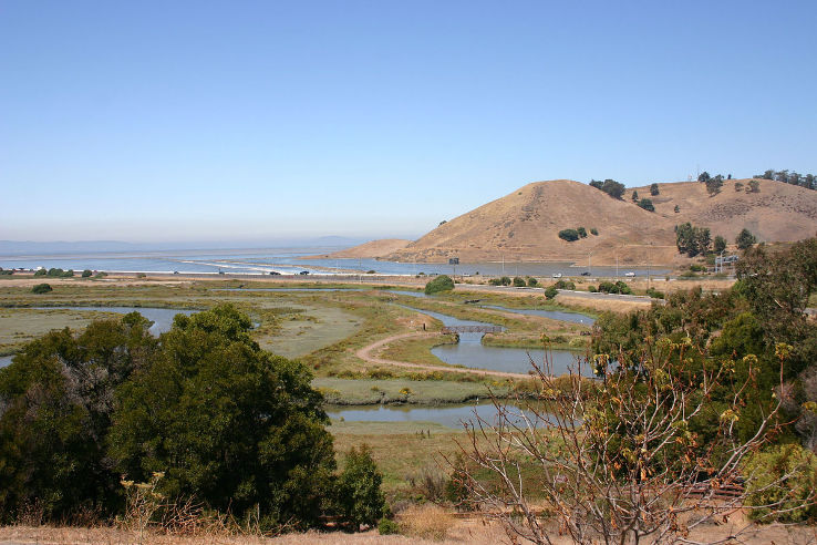 Coyote Hills Regional Park and Alameda Creek Trail Trip Packages
