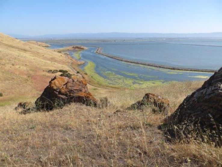Coyote Hills Regional Park and Alameda Creek Trail Trip Packages