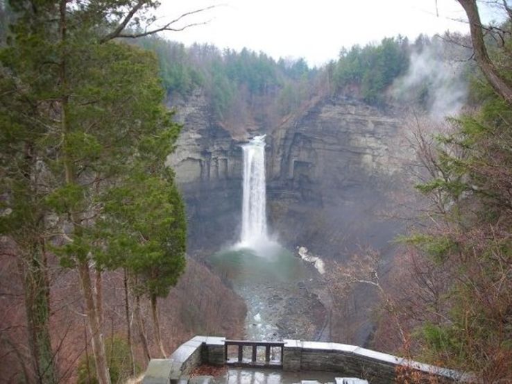 Cayuga Lake Trip Packages