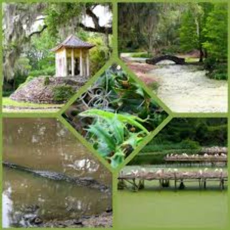 Avery Island Trip Packages