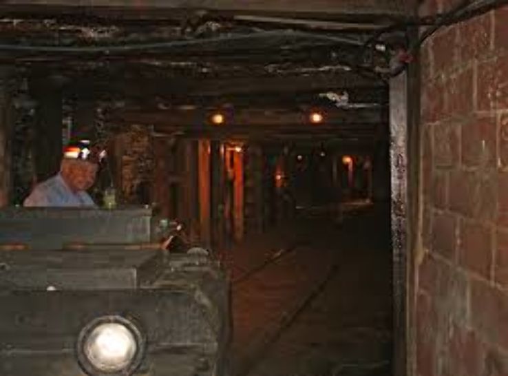 Exhibition Coal Mine Trip Packages