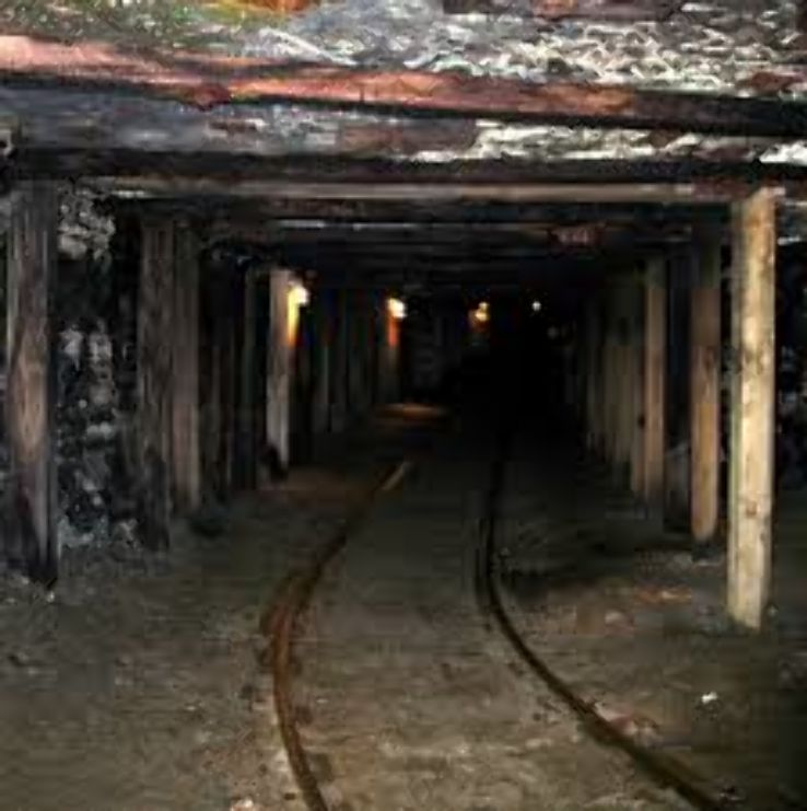 Exhibition Coal Mine Trip Packages