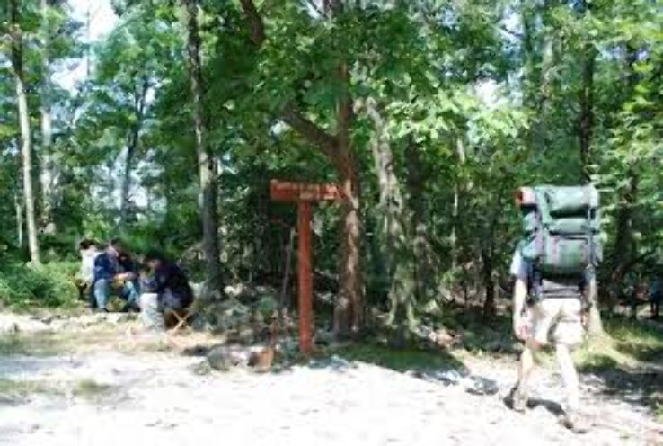 Bloomery Plantation Distillery Trip Packages