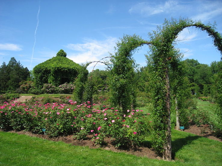 Elizabeth Park Trip Packages