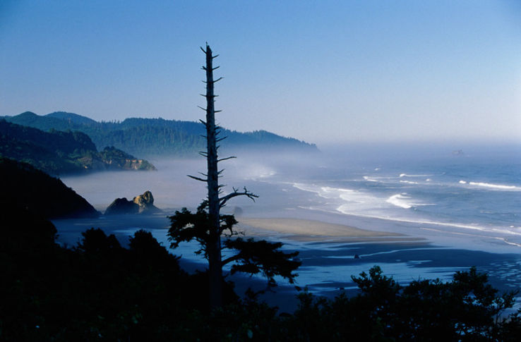 Tacoma Nature Cente Trip Packages