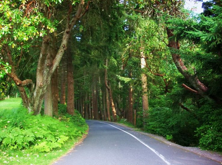 Five Mile Drive and Trails Trip Packages