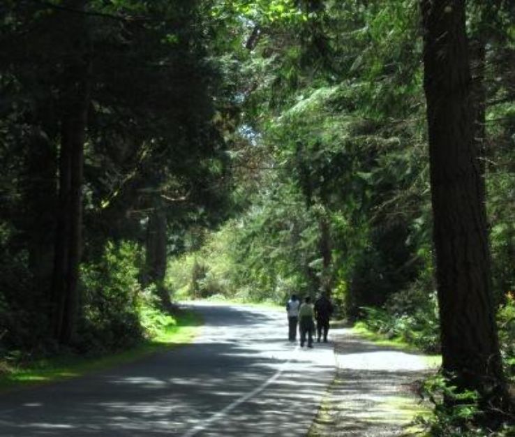 Five Mile Drive and Trails Trip Packages