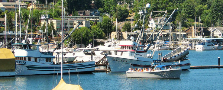 Destiny Harbor Tours Trip Packages