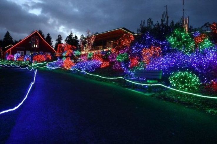 Point Defiance Zoo & Aquarium Trip Packages