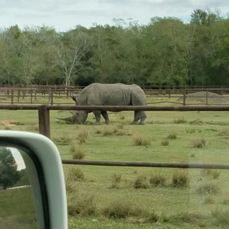 Bayou Wildlife Zoo Trip Packages