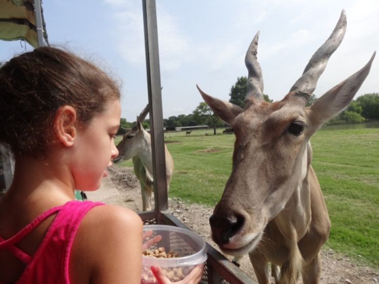 Bayou Wildlife Zoo Trip Packages