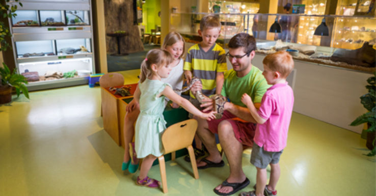 North Museum of Nature and Science Trip Packages