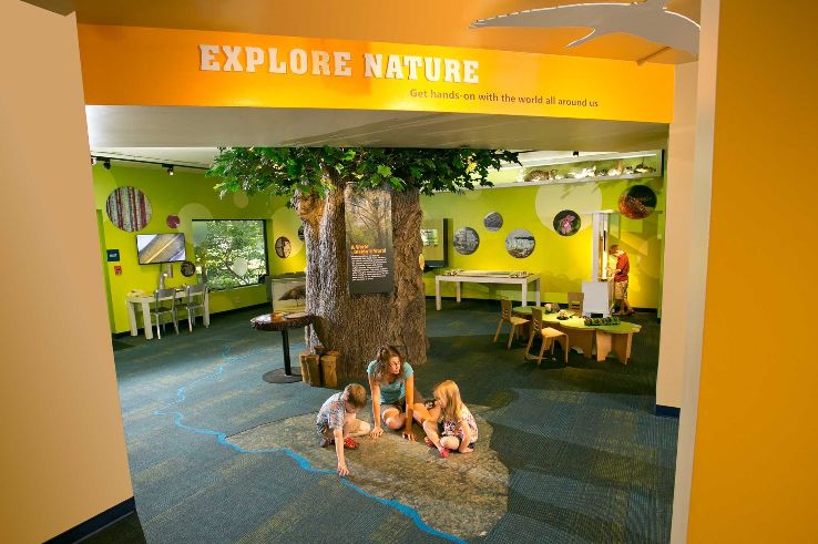 North Museum of Nature and Science Trip Packages