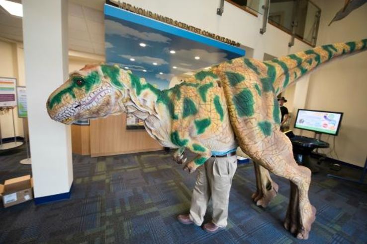 North Museum of Nature and Science Trip Packages