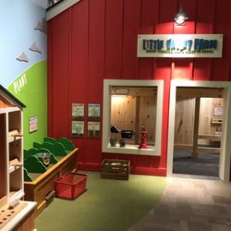 Hands-on House Trip Packages