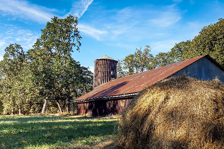 Mount Pisgah Arboretum Trip Packages