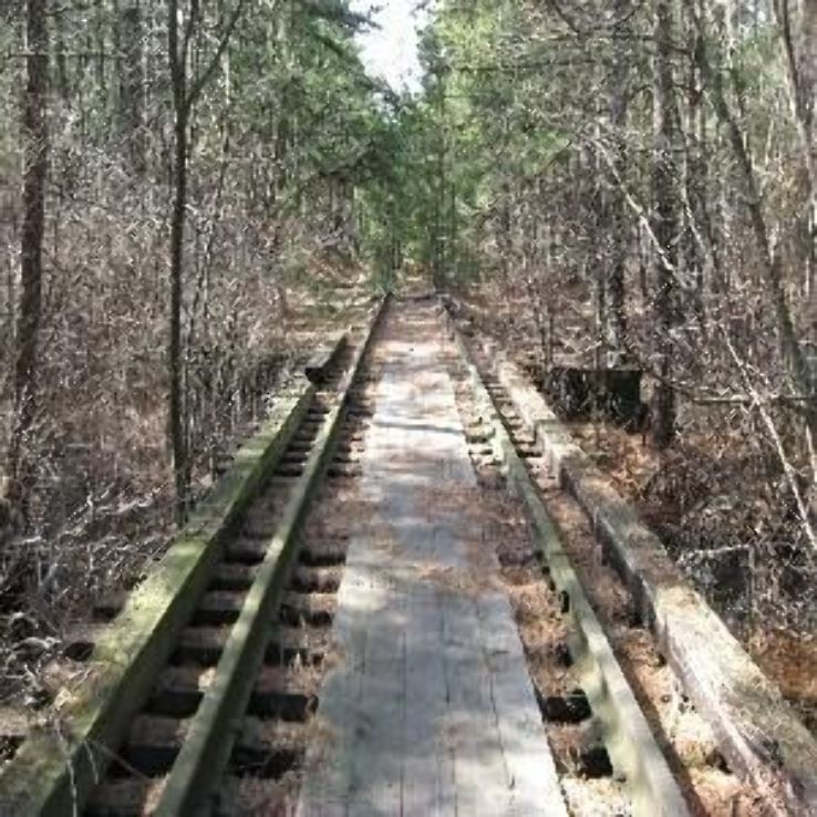 Wharton State Forest Trip Packages