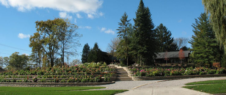 Dahlia Hill Trip Packages