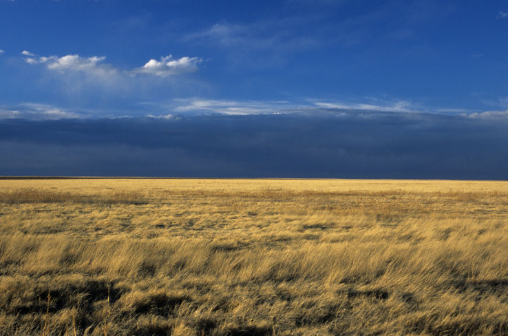Comanche National Grasslands Trip Packages