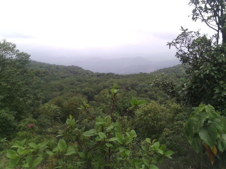 The Shirgaonkar Point Trip Packages