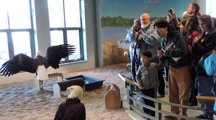 National Eagle Center Trip Packages