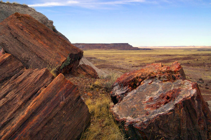 Petrified Forest National Park Trip Packages