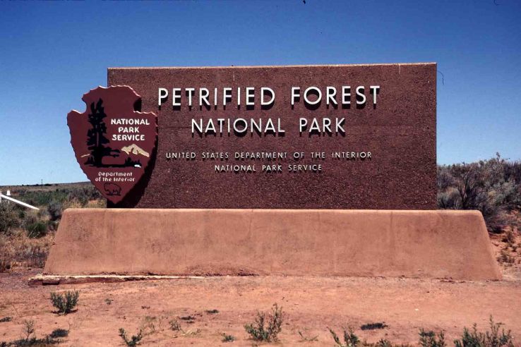 Petrified Forest National Park Trip Packages