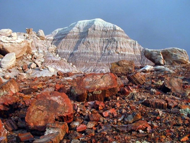 Petrified Forest National Park Trip Packages