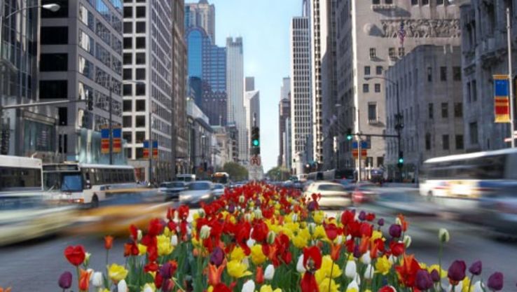 The Magnificent Mile Trip Packages