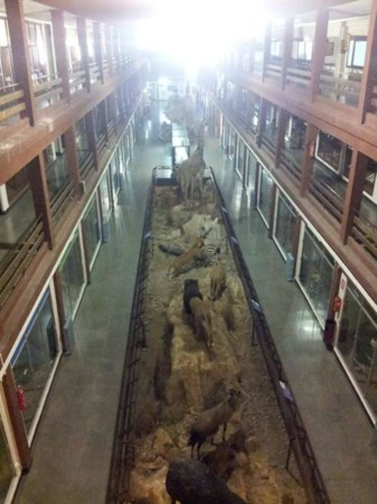 Museum of Natural Sciences El Carmen Trip Packages