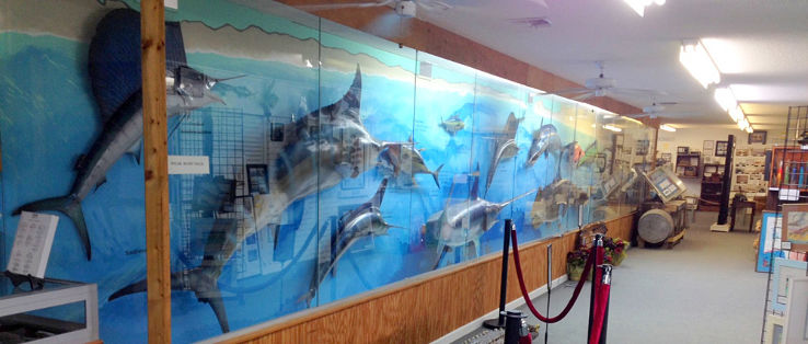 Destin History & Fishing Museum  Trip Packages