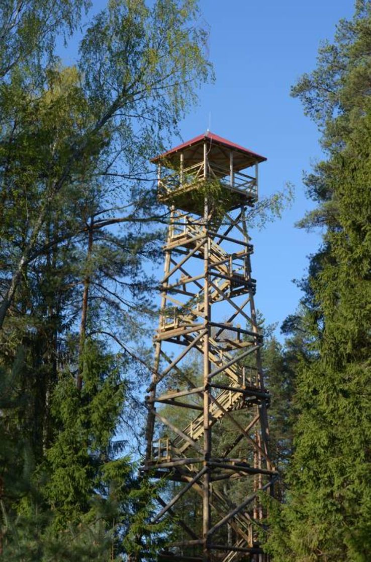 Пожарная вышка 7