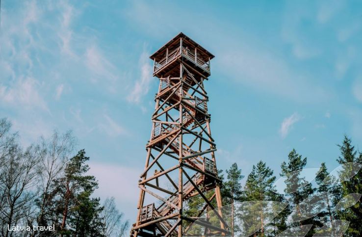 Blue Mountain View Tower Trip Packages