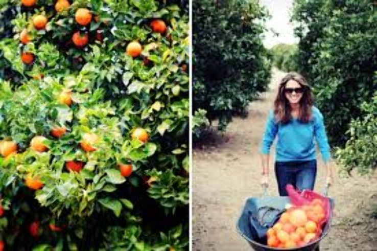 Truman Ranch Trip Packages