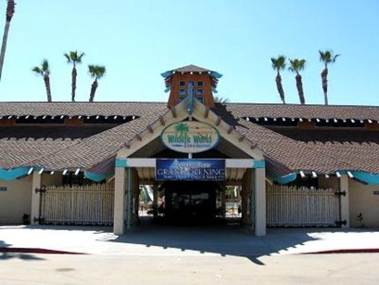 Wildlife World Zoo Litchfield Park Trip Packages